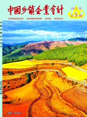 《中国乡镇企业会计》杂志