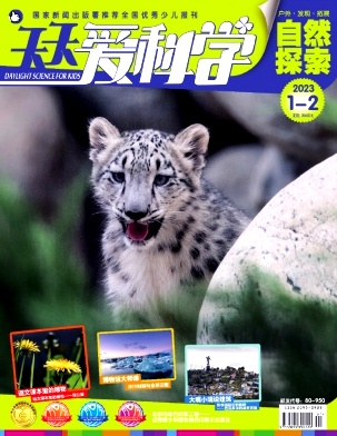 《天天爱科学》杂志